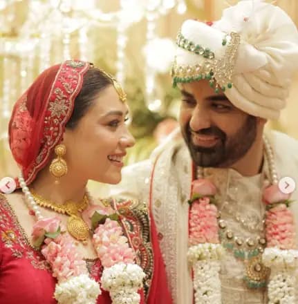 Celebrity Wedding: Anchal Singh and Mohit Chawla Celebrate Union