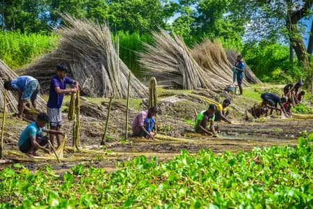 Multi‑Agency Coordination Drives Tailored Interventions Across Indian Farming Regions